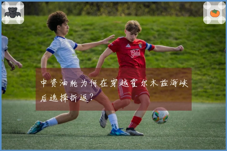 中资油轮为何在穿越霍尔木兹海峡后选择折返？